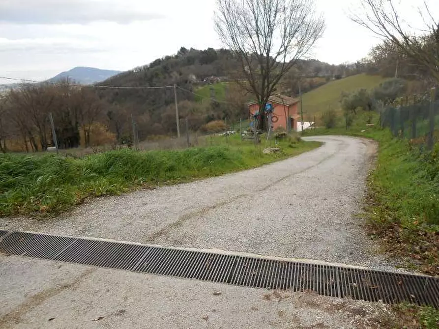 Immagine 7 di Terreno agricolo in vendita  in VIA SAN SEBASTIANO, 130 a Falconara Marittima