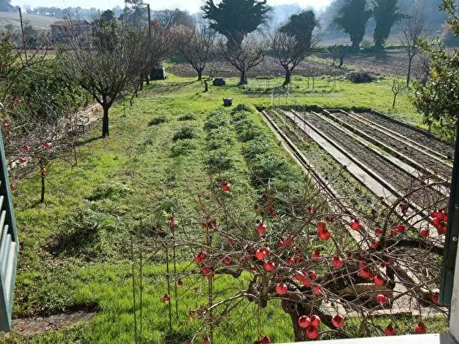 Immagine 10 di Casa indipendente in vendita  in VIA ANGELI DI VARANO, 235 a Ancona