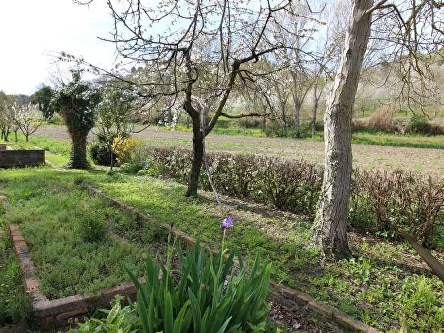 Immagine 41 di Casa indipendente in vendita  in VIA ANGELI DI VARANO, 235 a Ancona