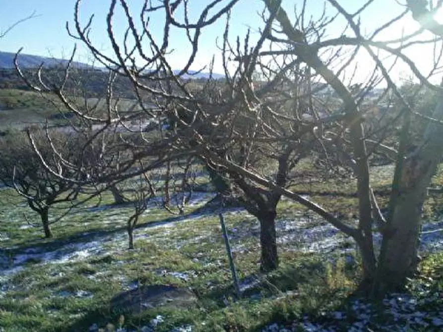 Immagine 16 di Porzione di casa in vendita  in VIA CERQUETO, 2 P0GGIOSAN VICINO, MC a Macerata