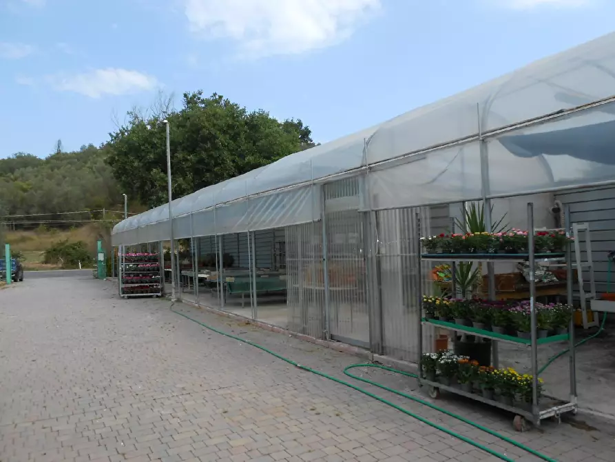 Immagine 1 di Terreno agricolo in vendita  in CONTRADA CASINE DI PATERNO a Ancona
