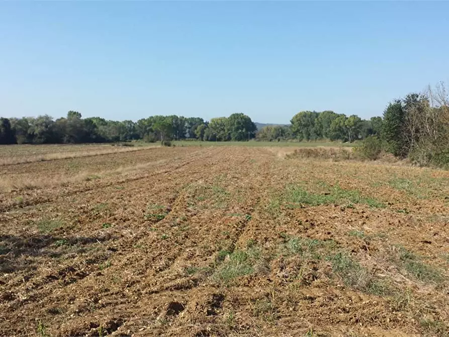 Terreno agricolo in vendita in Via della Democrazia a Corciano