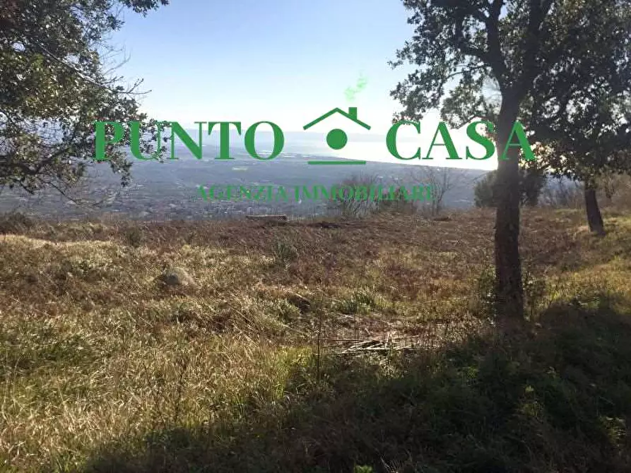 Terreno agricolo in vendita in Contrada Canneto a Lamezia Terme