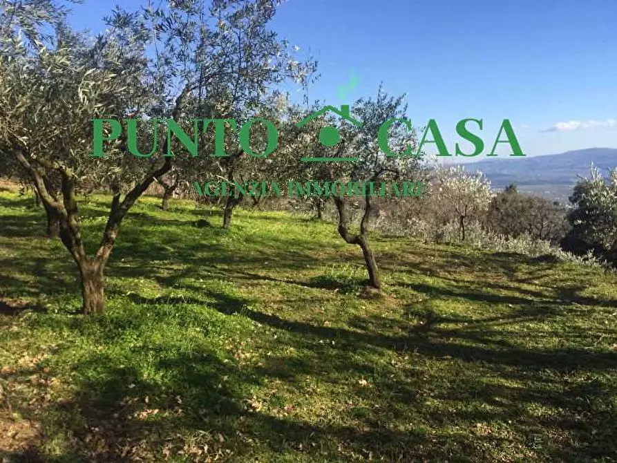 Terreno agricolo in vendita in Contrada Crozzano a Lamezia Terme