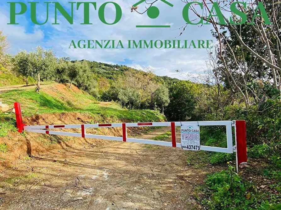 Terreno agricolo in vendita in Contrada Marrano a Lamezia Terme