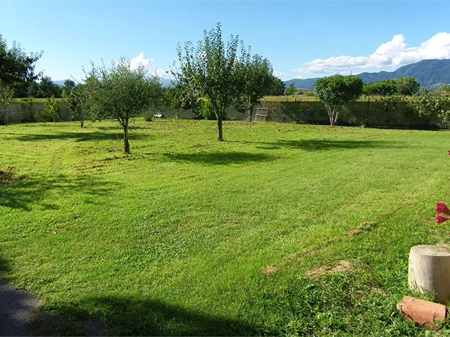 Immagine 5 di Rustico / casale in vendita  in capannori a Capannori