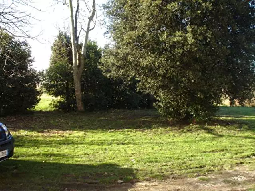 Immagine 5 di Rustico / casale in vendita  in altopascio a Altopascio