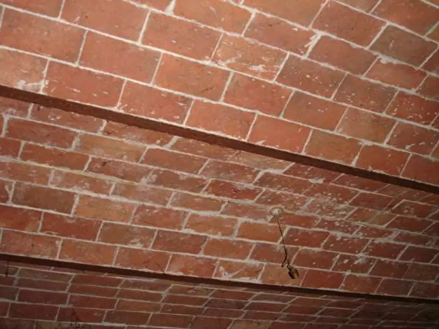 Immagine 8 di Rustico / casale in vendita  in altopascio a Altopascio