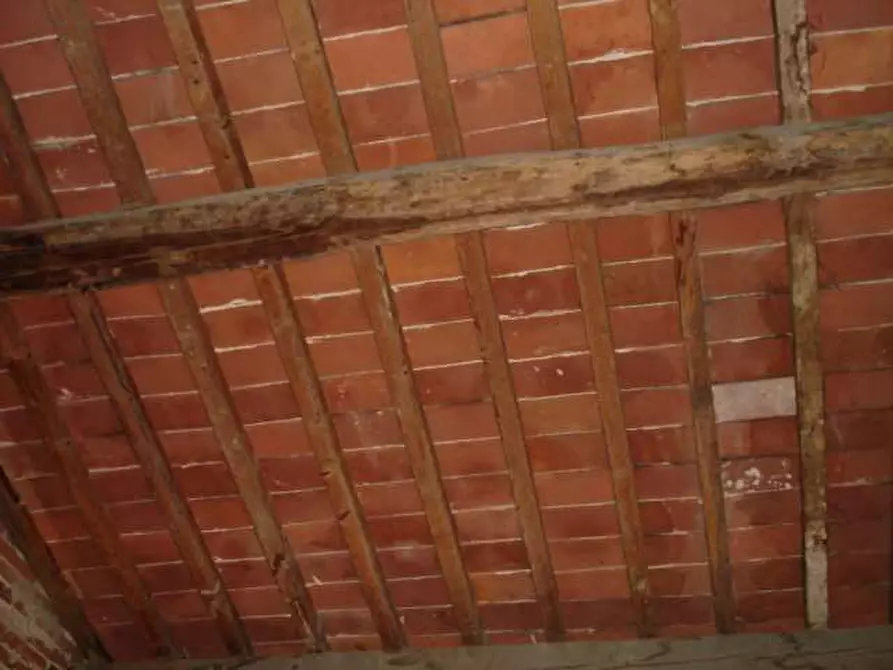 Immagine 9 di Rustico / casale in vendita  in altopascio a Altopascio