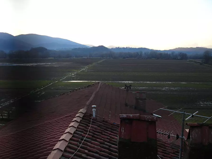 Immagine 10 di Stabile in vendita  in porcari a Porcari