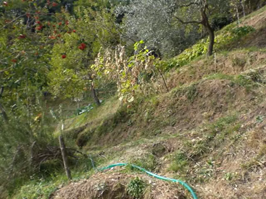Immagine 7 di Casa indipendente in vendita  in villa basilica a Villa Basilica