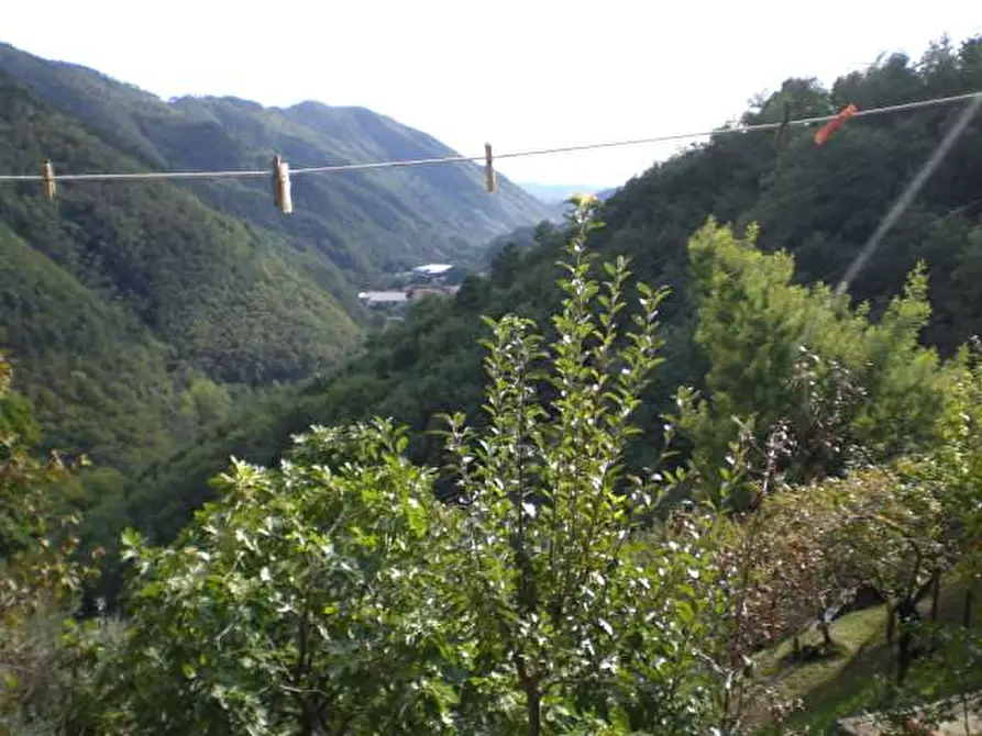 Immagine 8 di Casa indipendente in vendita  in villa basilica a Villa Basilica