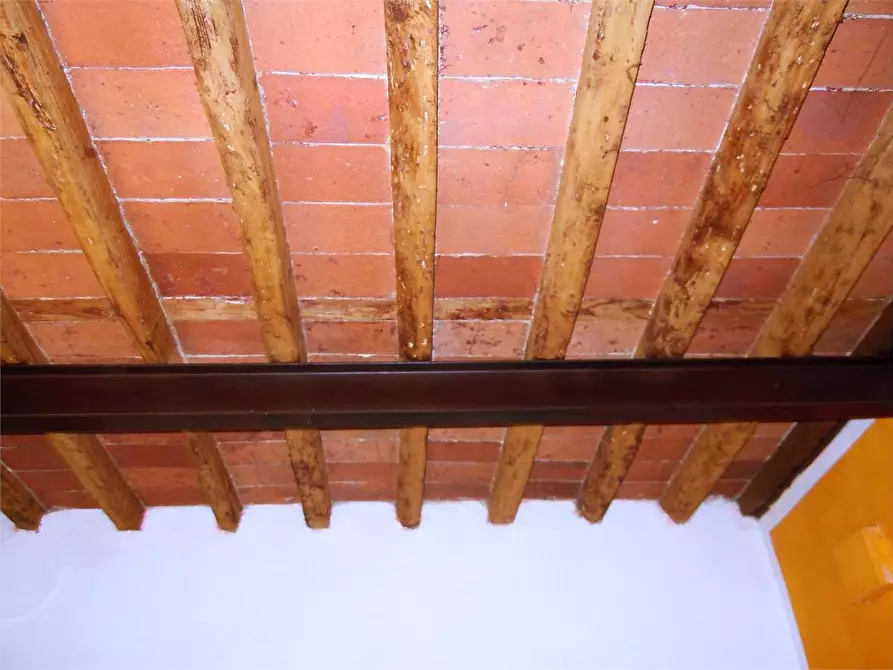 Immagine 21 di Porzione di casa in vendita  in capannori a Capannori