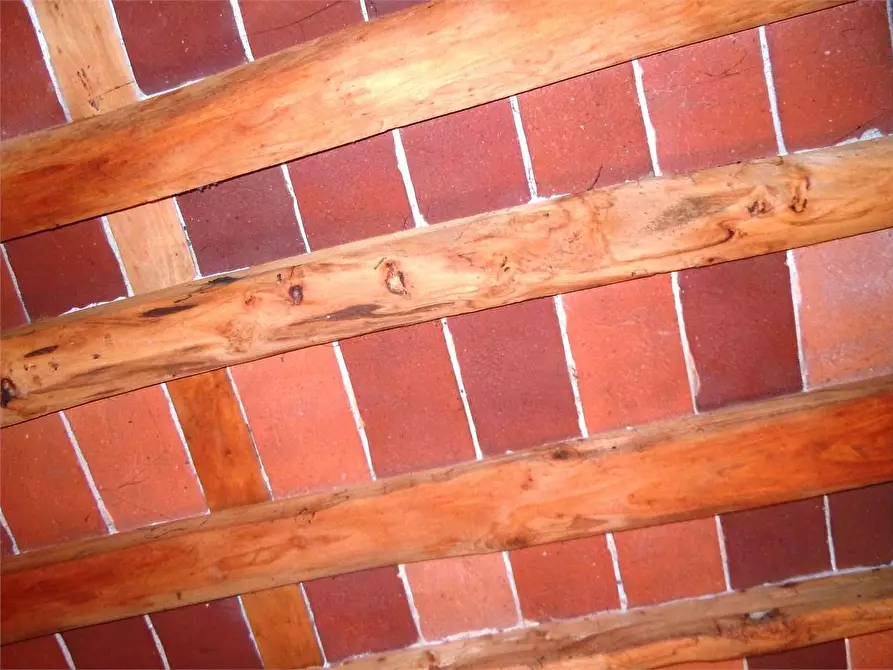 Immagine 22 di Porzione di casa in vendita  in capannori a Capannori