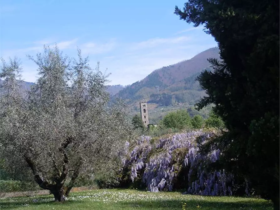 Immagine 1 di Villa in vendita  in Segromigno a Capannori