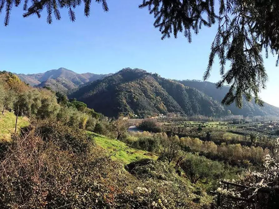 Immagine 21 di Rustico / casale in vendita  in via pieve per brancoli  a Lucca