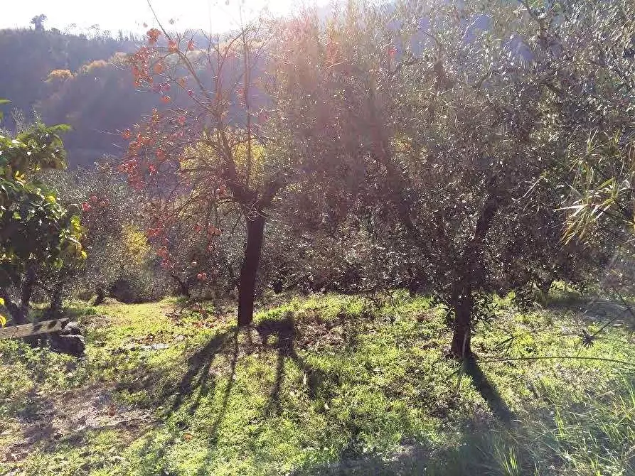 Immagine 22 di Rustico / casale in vendita  in via pieve per brancoli  a Lucca