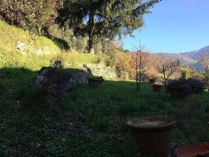 Immagine 23 di Rustico / casale in vendita  in via pieve per brancoli  a Lucca