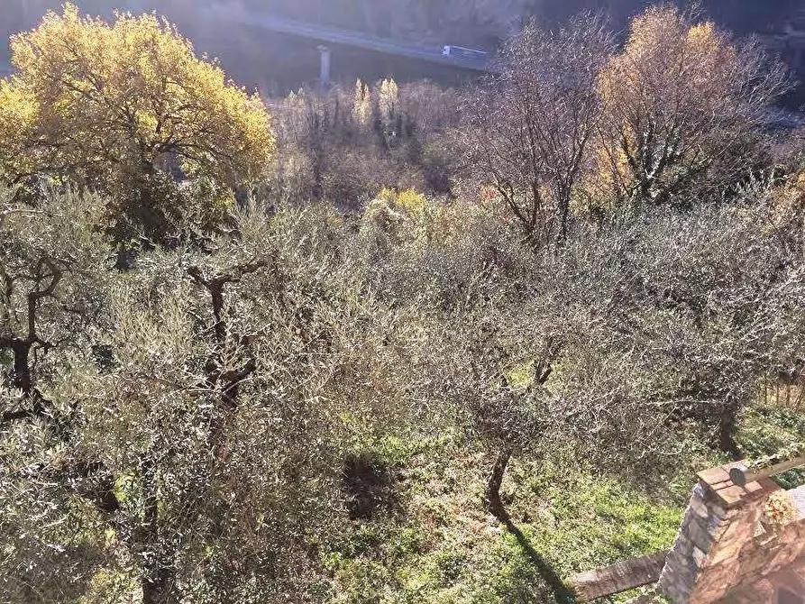 Immagine 25 di Rustico / casale in vendita  in via pieve per brancoli  a Lucca