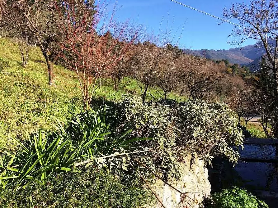 Immagine 26 di Rustico / casale in vendita  in via pieve per brancoli  a Lucca