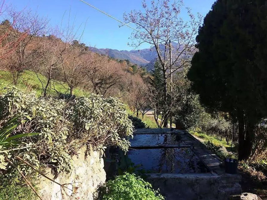 Immagine 27 di Rustico / casale in vendita  in via pieve per brancoli  a Lucca