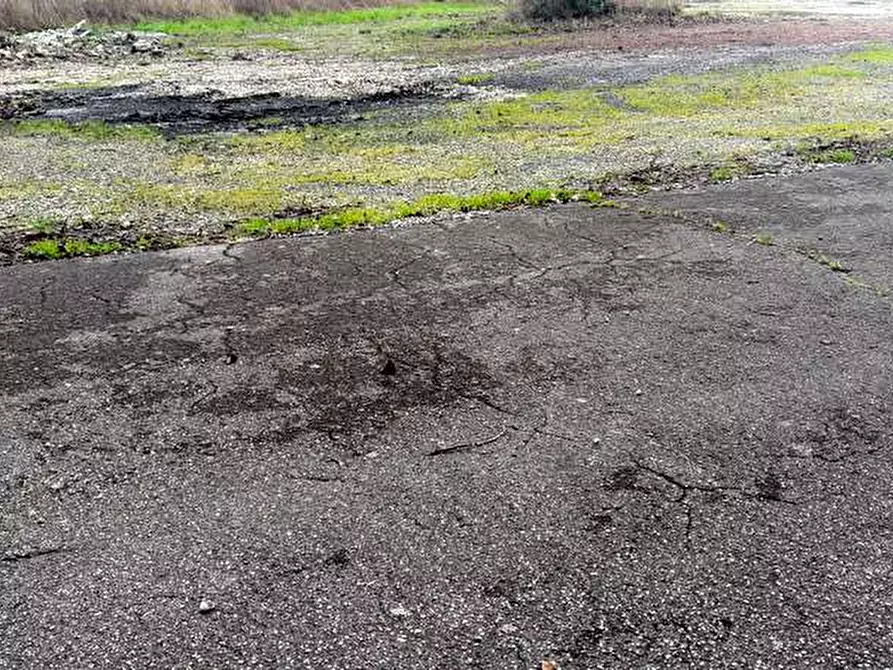 Immagine 14 di Ufficio in affitto  in San Concordio Contrada a Lucca