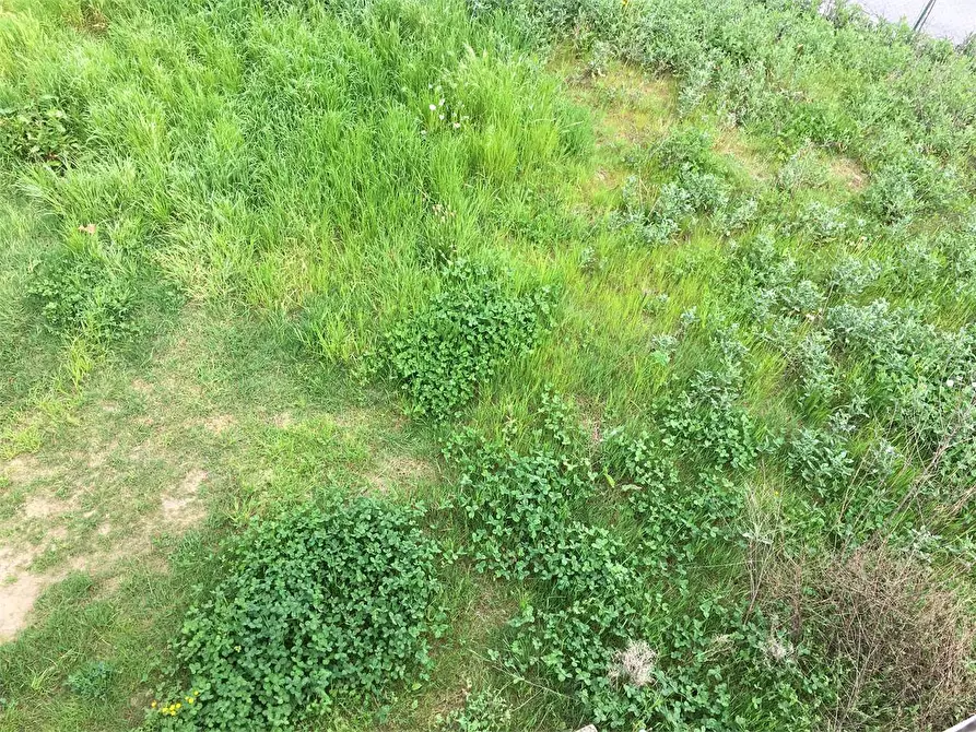 Immagine 15 di Villa in vendita  in Marlia a Capannori