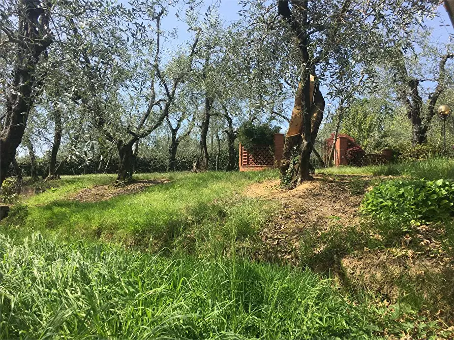 Immagine 29 di Villa in vendita  in Montecarlo  a Montecarlo