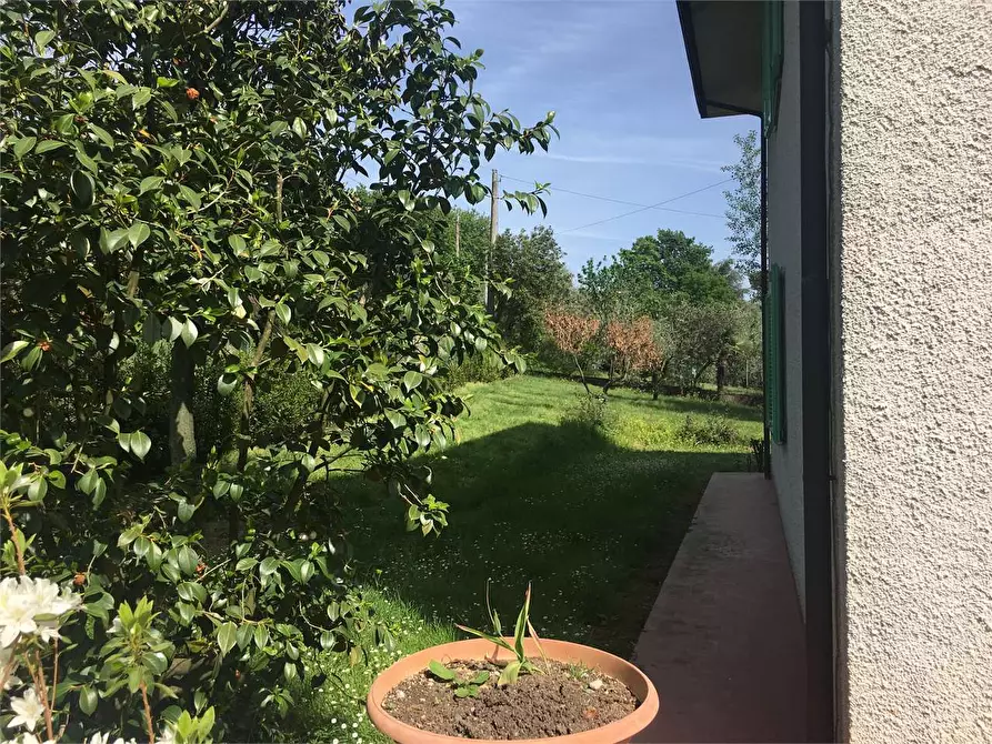 Immagine 30 di Villa in vendita  in Montecarlo  a Montecarlo