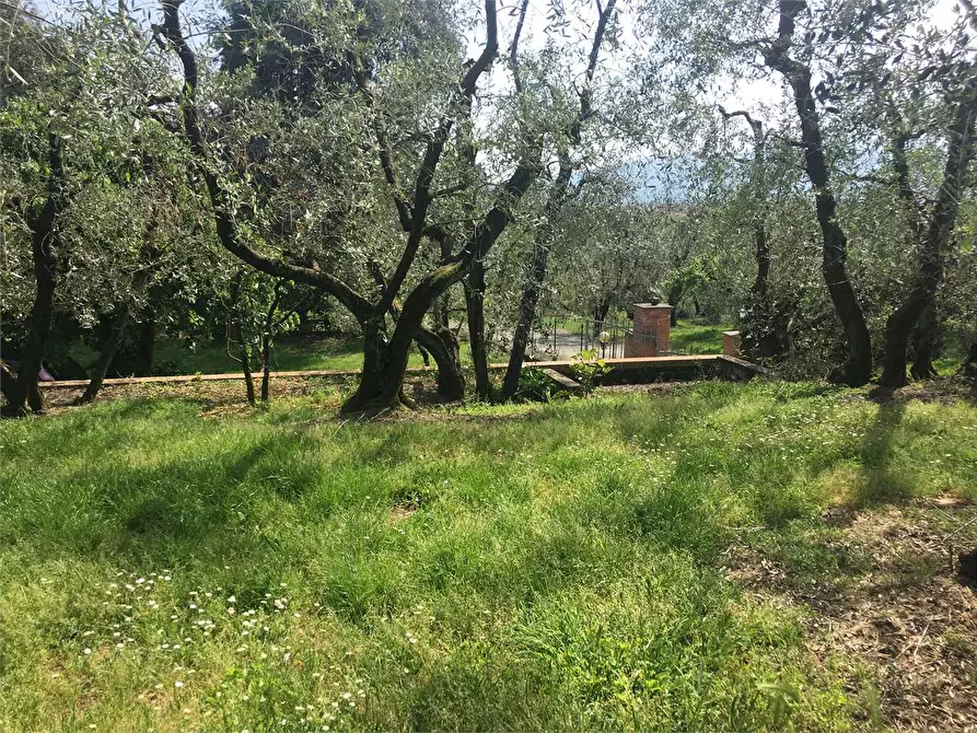 Immagine 31 di Villa in vendita  in Montecarlo  a Montecarlo