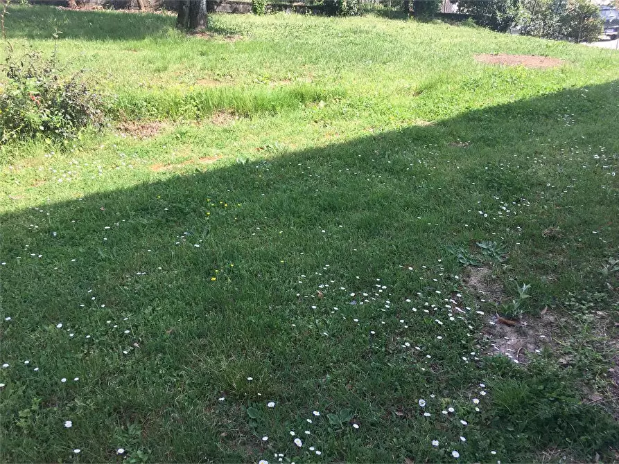 Immagine 32 di Villa in vendita  in Montecarlo  a Montecarlo