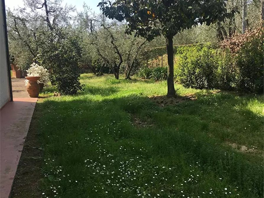 Immagine 33 di Villa in vendita  in Montecarlo  a Montecarlo