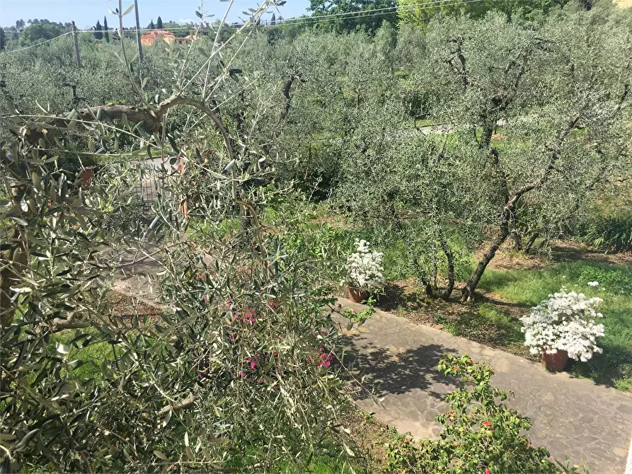 Immagine 28 di Villa in vendita  in Montecarlo  a Montecarlo