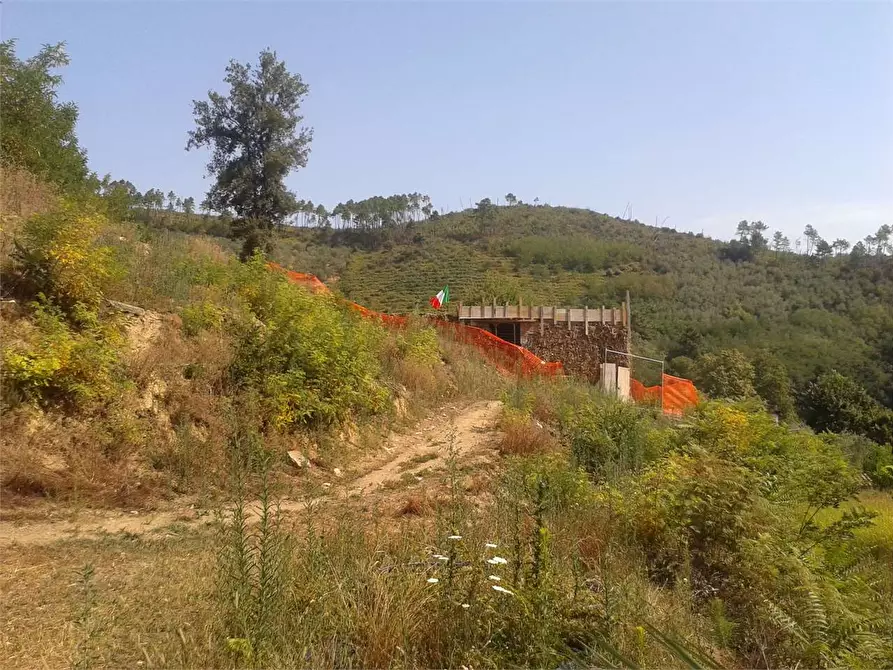 Immagine 3 di Rustico / casale in vendita  in Capannori Pieve di Compito a Capannori