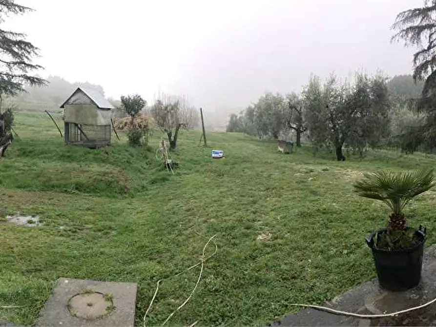 Immagine 20 di Rustico / casale in vendita  in Montecarlo a Montecarlo