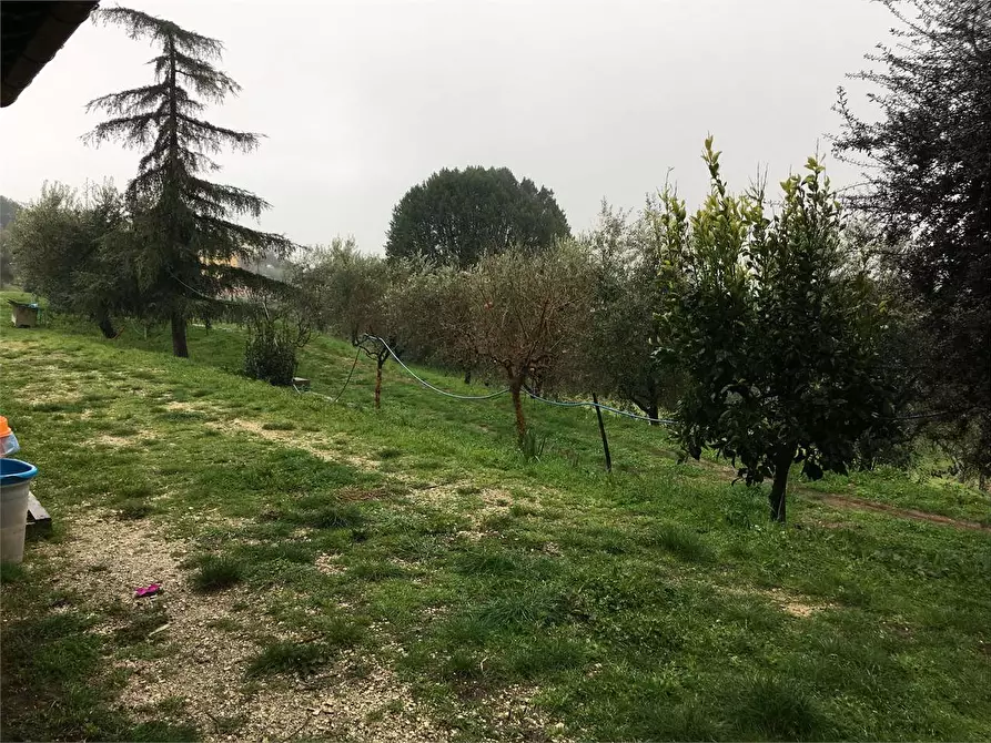 Immagine 2 di Rustico / casale in vendita  in Montecarlo a Montecarlo