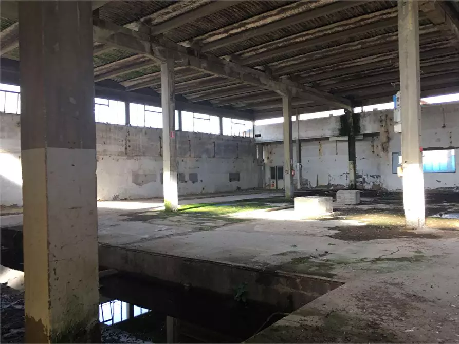 Immagine 4 di Capannone industriale in vendita  in Porcari a Porcari