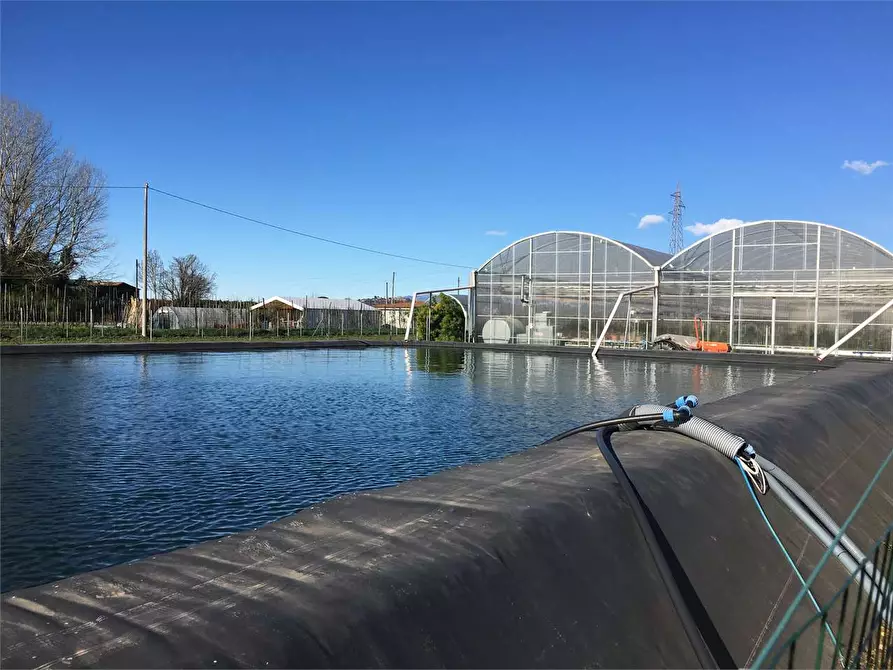 Immagine 3 di Azienda agricola in vendita  in Ponte Buggianese a Ponte Buggianese