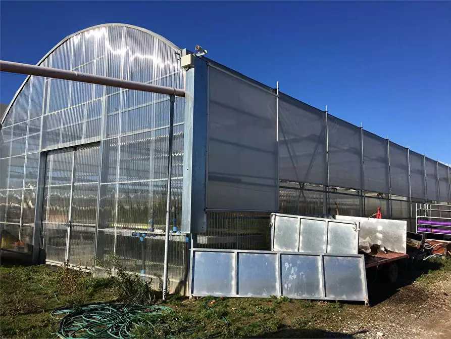 Immagine 13 di Azienda agricola in vendita  in Ponte Buggianese a Ponte Buggianese