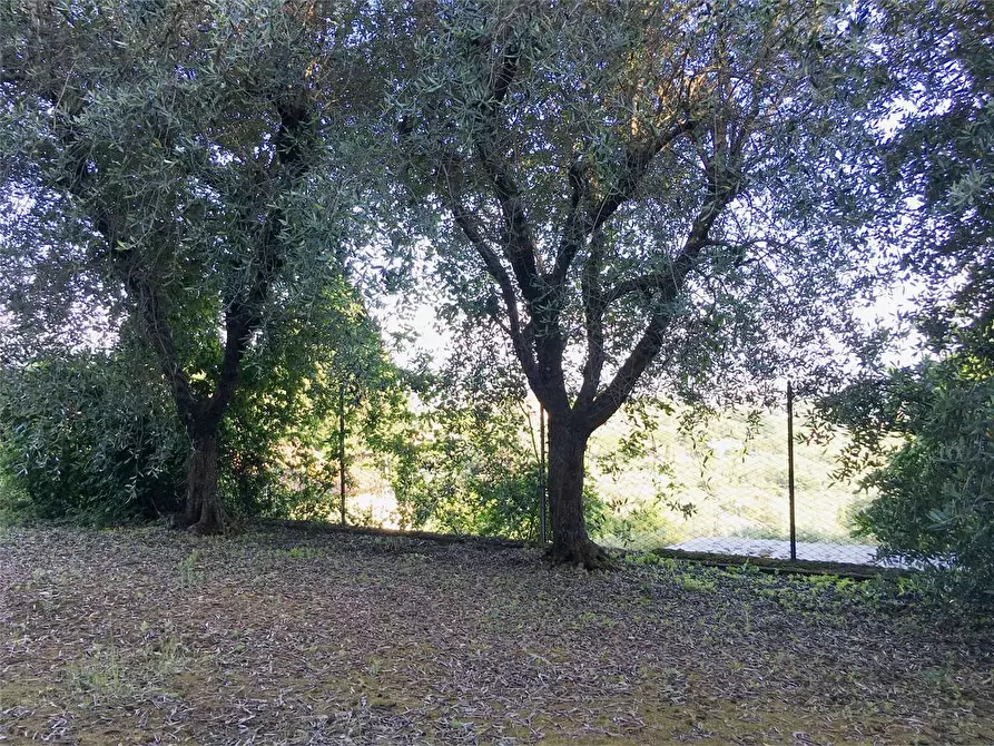 Immagine 29 di Porzione di casa in vendita  in san gennaro a Capannori