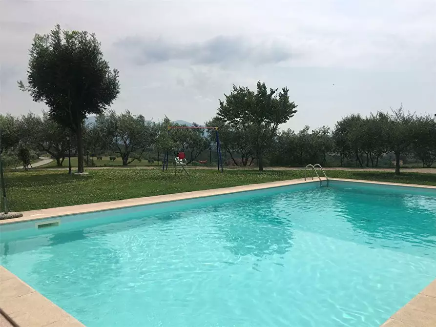 Immagine 29 di Rustico / casale in vendita  in Montecarlo a Montecarlo