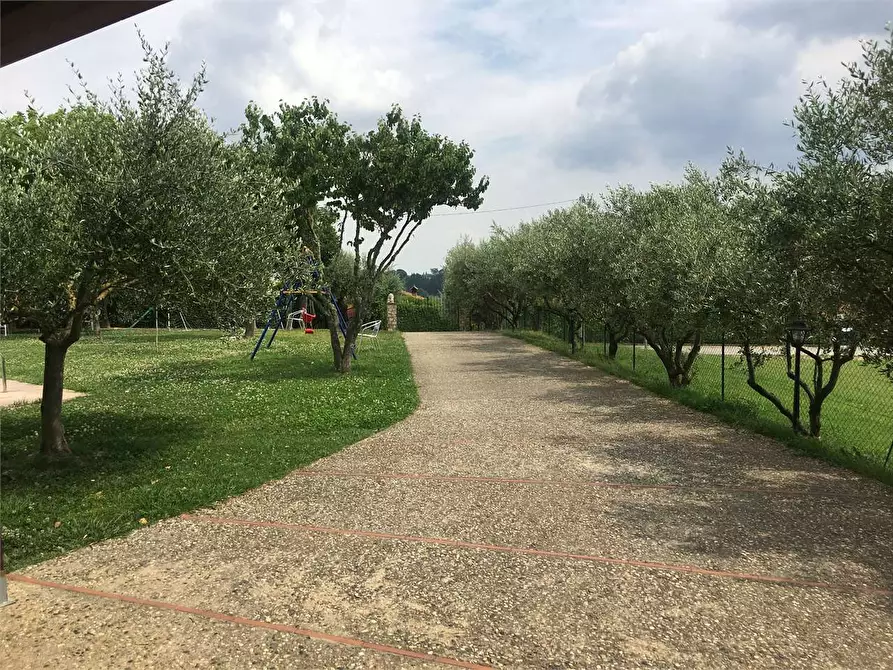 Immagine 27 di Rustico / casale in vendita  in Montecarlo a Montecarlo