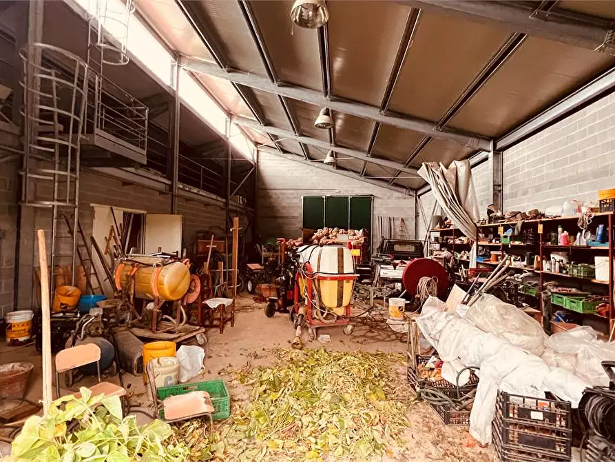 Immagine 5 di Capannone industriale in vendita  in Toringo a Capannori