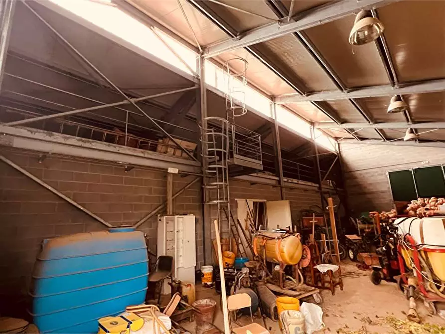 Immagine 6 di Capannone industriale in vendita  in Toringo a Capannori