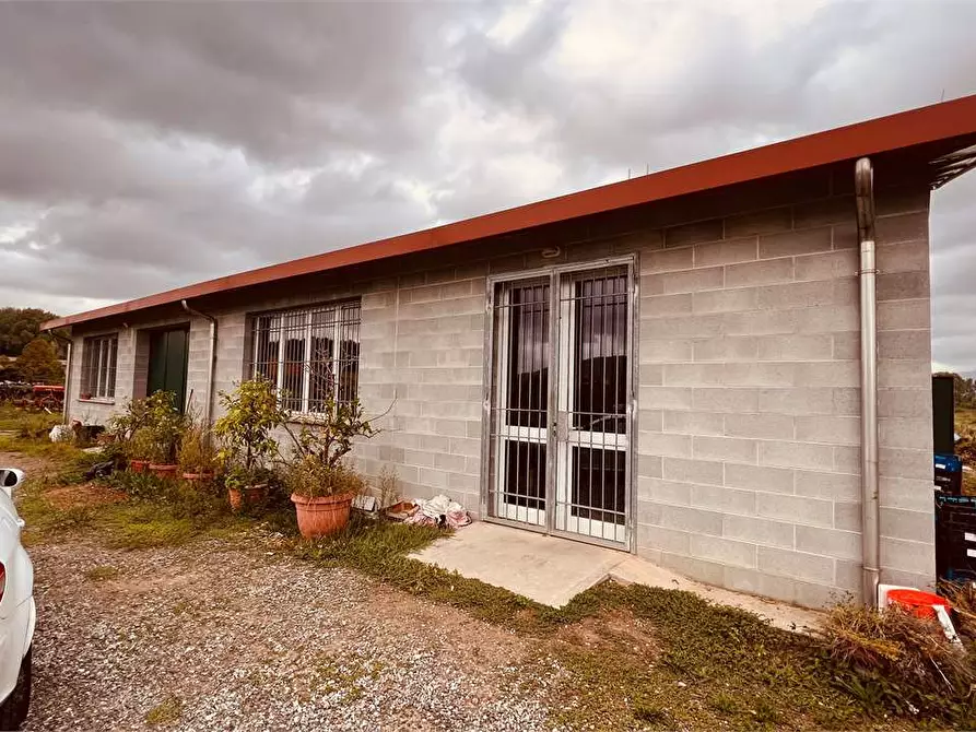 Immagine 2 di Capannone industriale in vendita  in Toringo a Capannori