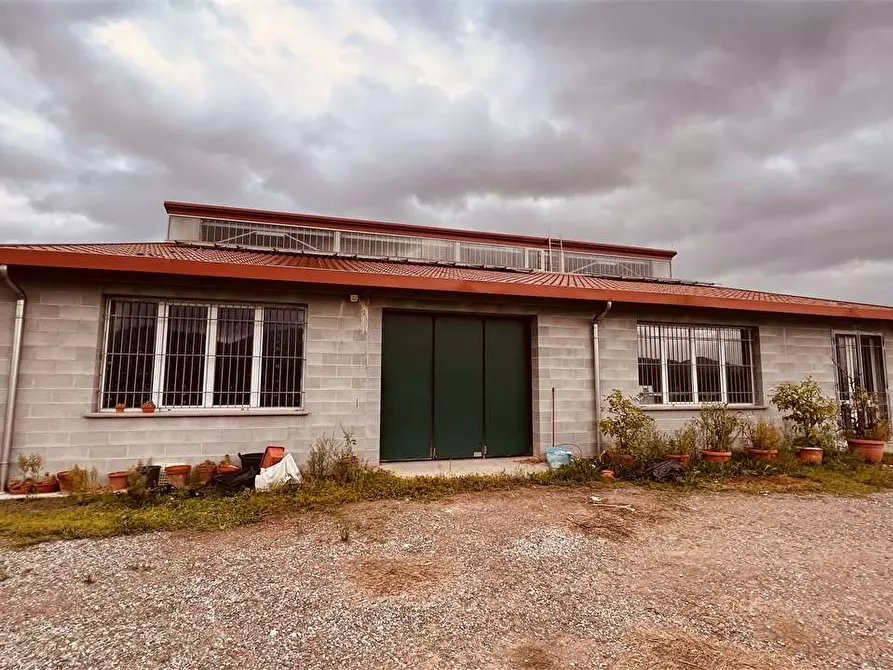 Immagine 4 di Capannone industriale in vendita  in Toringo a Capannori