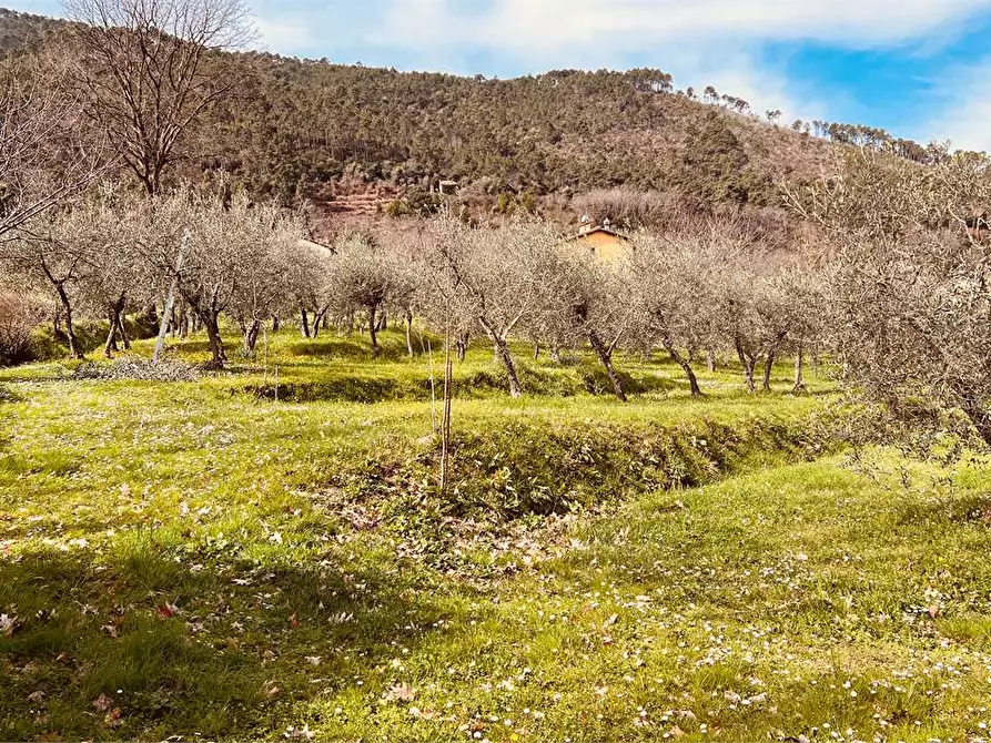 Immagine 4 di Rustico / casale in vendita  in via dei sodini a Capannori
