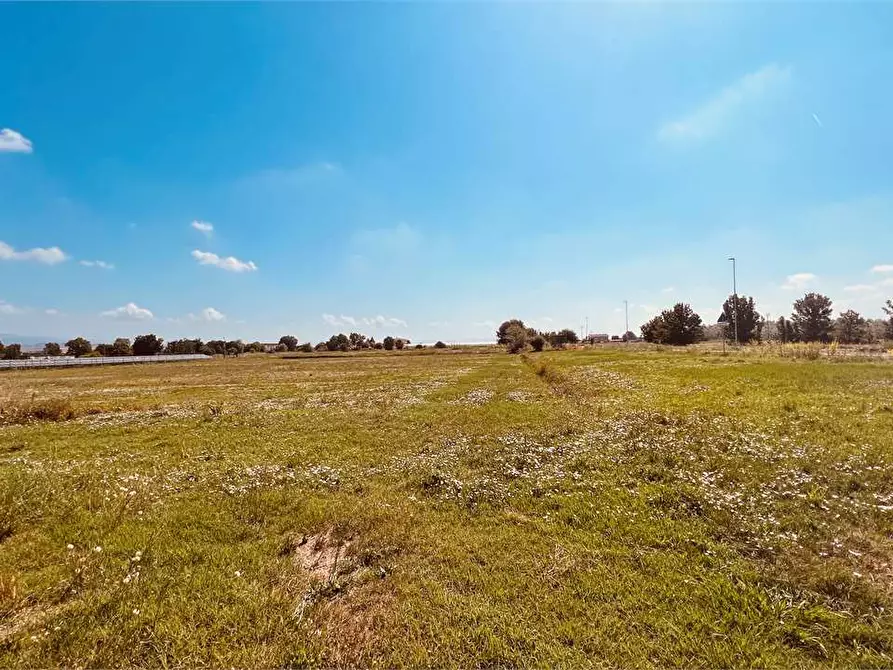 Immagine 22 di Rustico / casale in vendita  in Porcari a Porcari