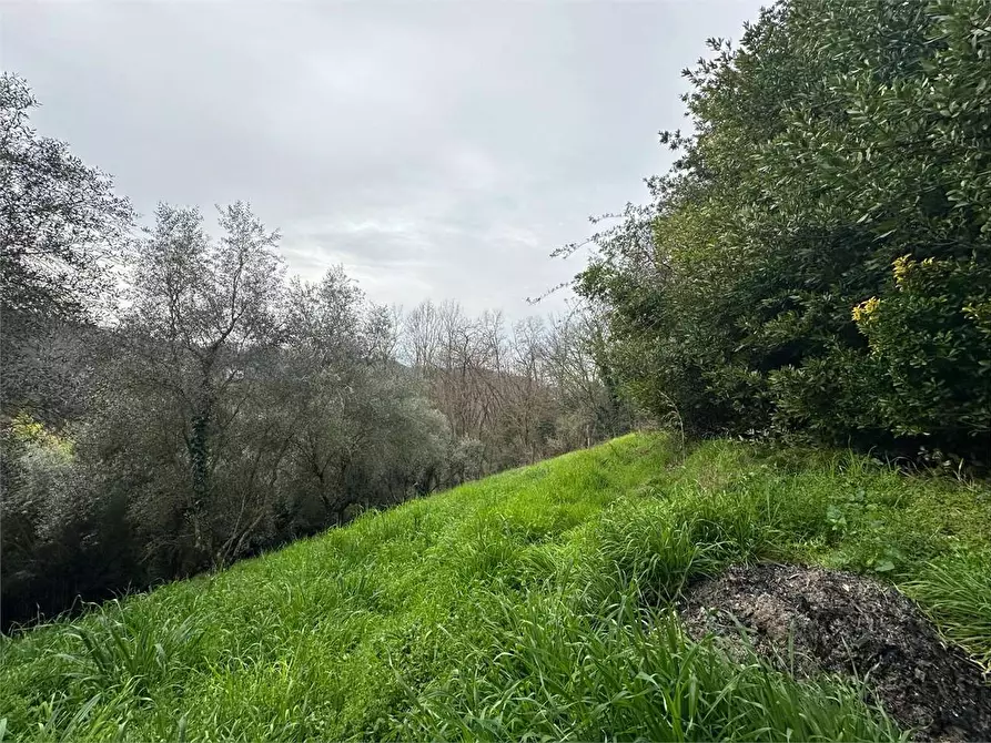 Immagine 25 di Rustico / casale in vendita  in via dell'anfrione a Capannori