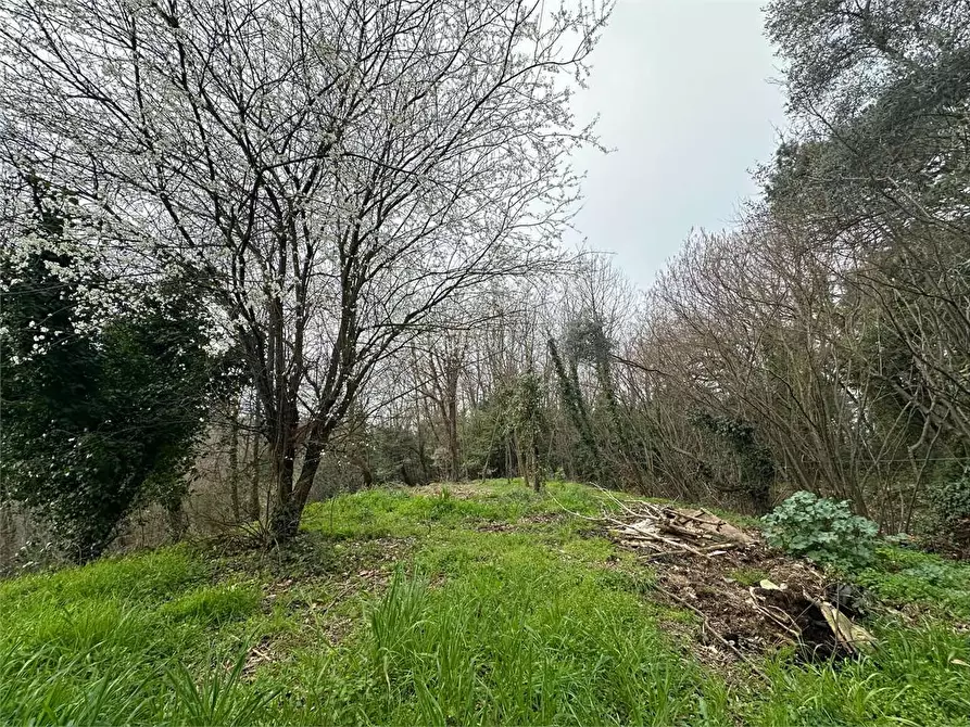 Immagine 26 di Rustico / casale in vendita  in via dell'anfrione a Capannori